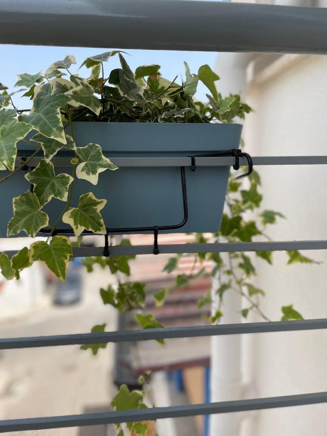 Holiday House Da Vinci Apartment Terrasini Exterior foto